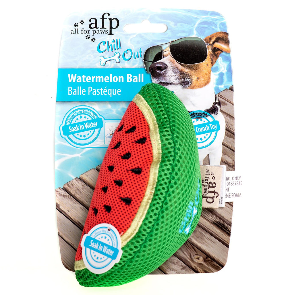 All For Paws Chill Out Cooling Dog Toy