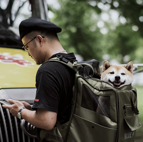 Japanese design Dog/Cat Carrier Backpack