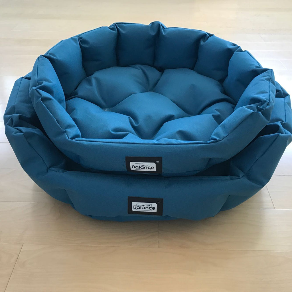 Summer Waterproof Cooling Dog Bed in Aqua Blue