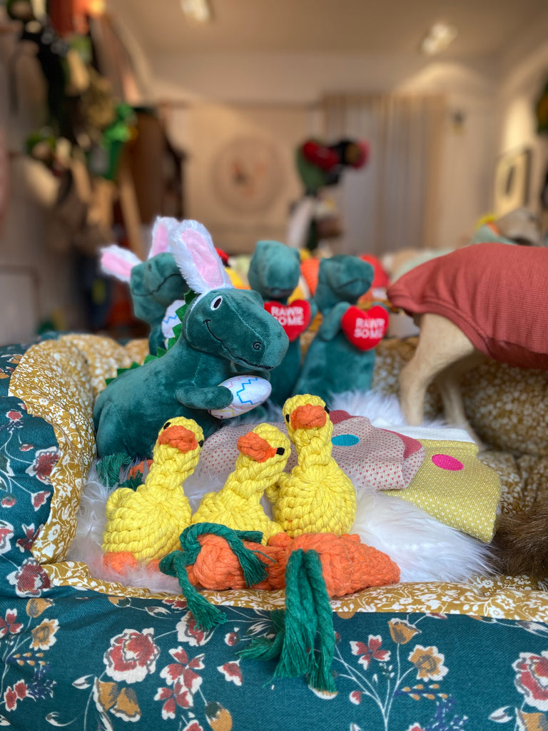 Dinosaur Soft Dog Toy with Bunny ears