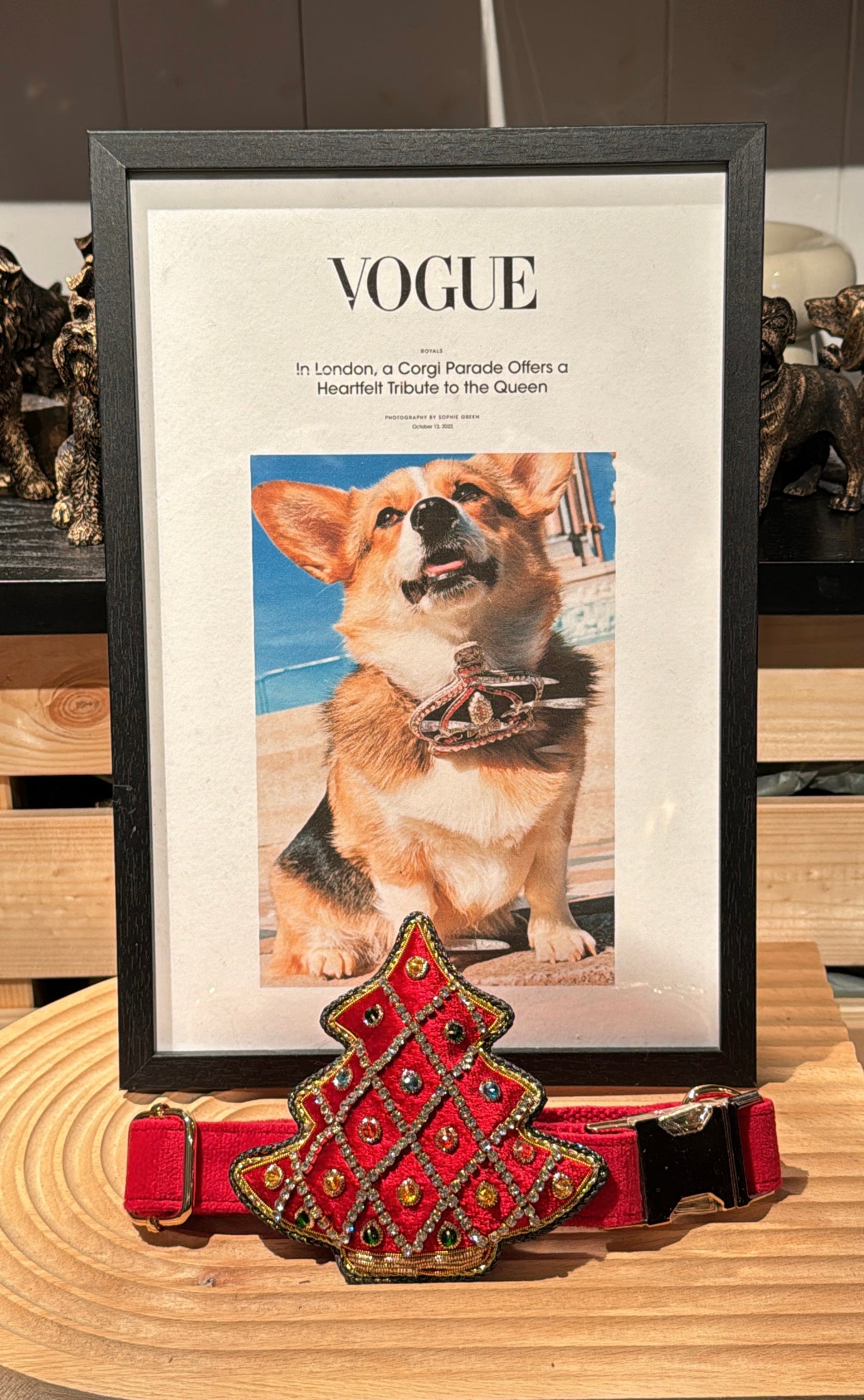 Royal Crown Dog Cat Velvet Collar Set – Dog Walk Style