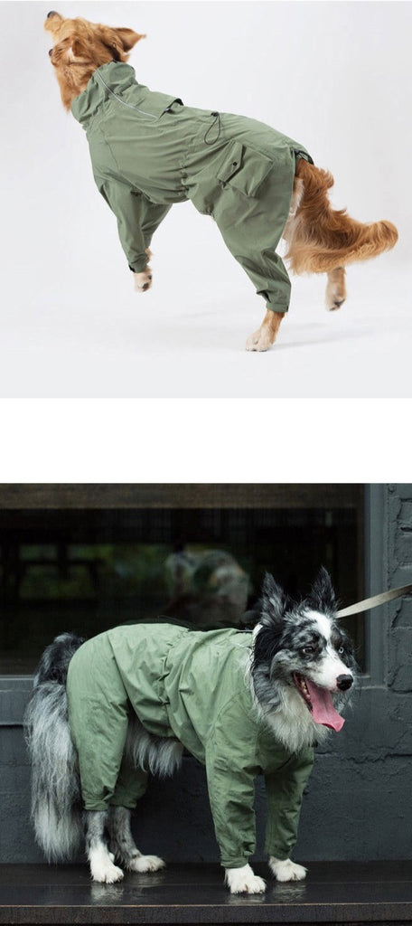 Large dog raincoat
