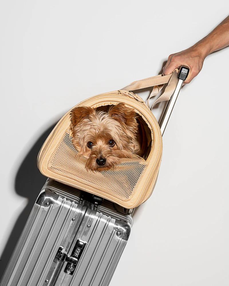 Wild One Airline Approved Travel Carrier for Dogs / Cats – Dog