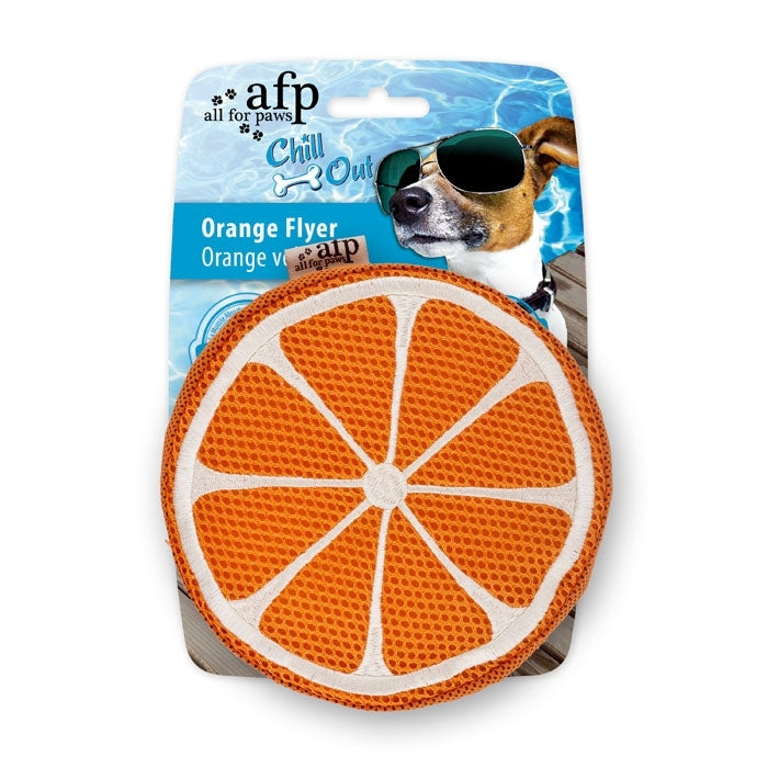 All For Paws Chill Out Cooling Dog Toy