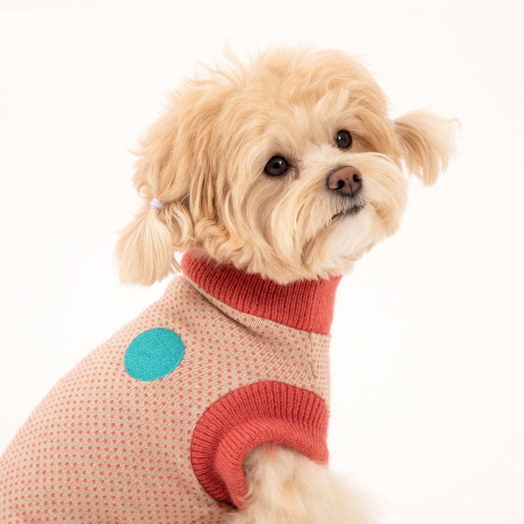 Korean Design knitted Dog / Cat Jumper - Coral Pink / Sunflower Yellow
