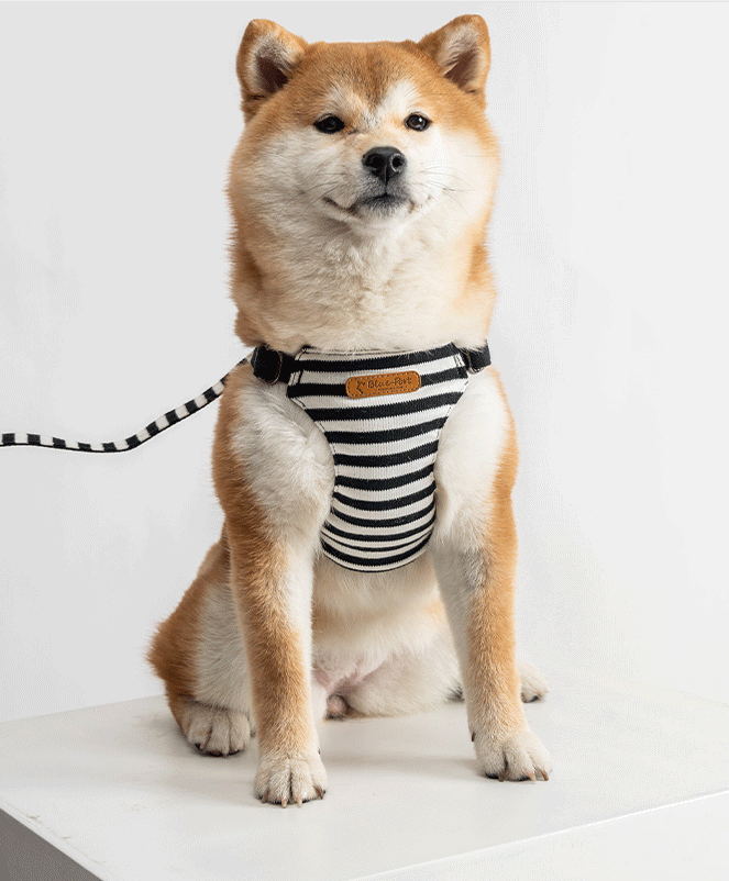 Japanese design 100% cotton super soft harness with lead set for dogs ...