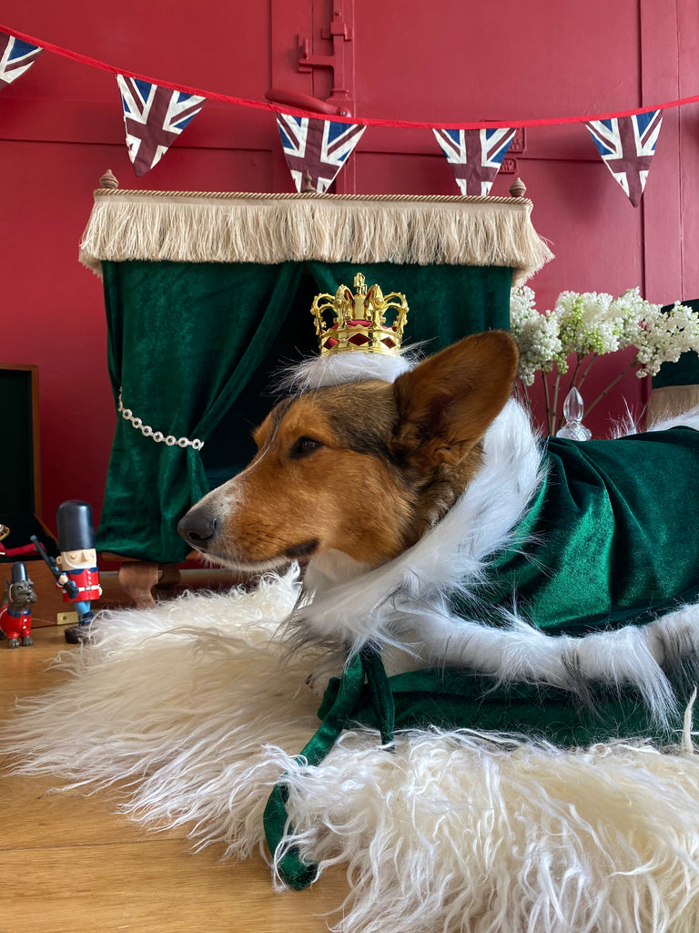 Royal Crown for Dog/ Cat