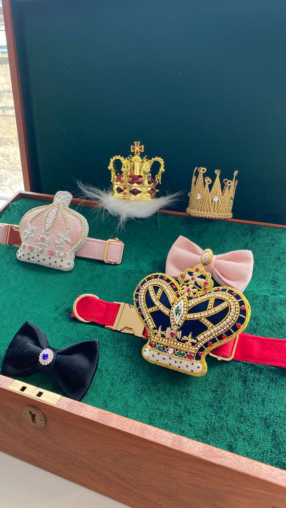 Royal Crown Dog / Cat Velvet Collar Set