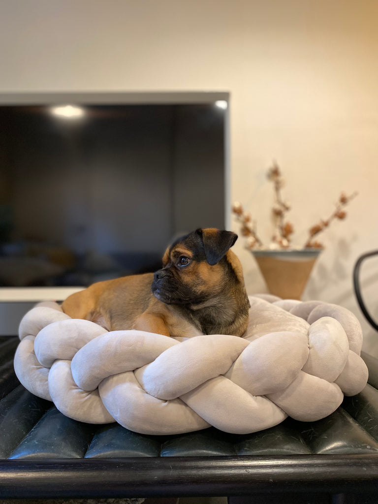 Round Dog / Cat Bed with Chunky Braided Edge