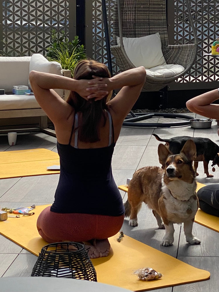 Doga - Yoga with your Dog