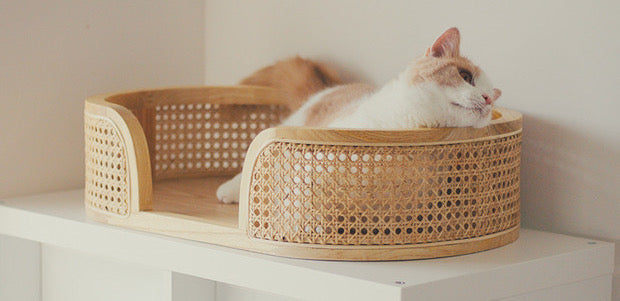 Handmade Modern Solid Wood Dog Bed Cat Bed with Natural Rattan