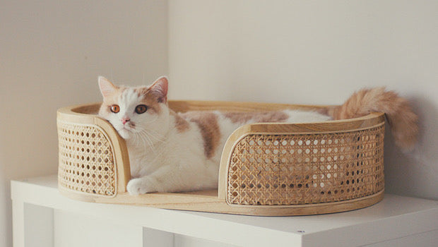 Handmade Modern Solid Wood Dog Bed Cat Bed with Natural Rattan