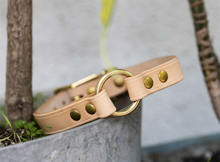 Adjustable Italian Leather Dog Collar with Brass Buckle and Ring