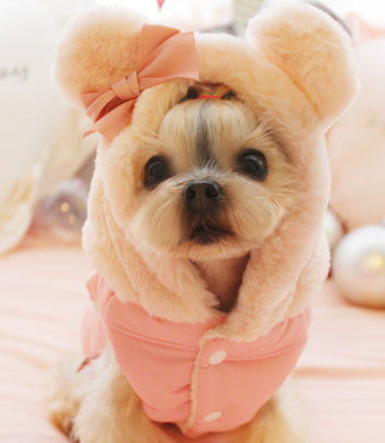 Dog Jacket with Mickey Mouse Ear Style hood and Ribbon - Puffer Style - Baby Pink / Red