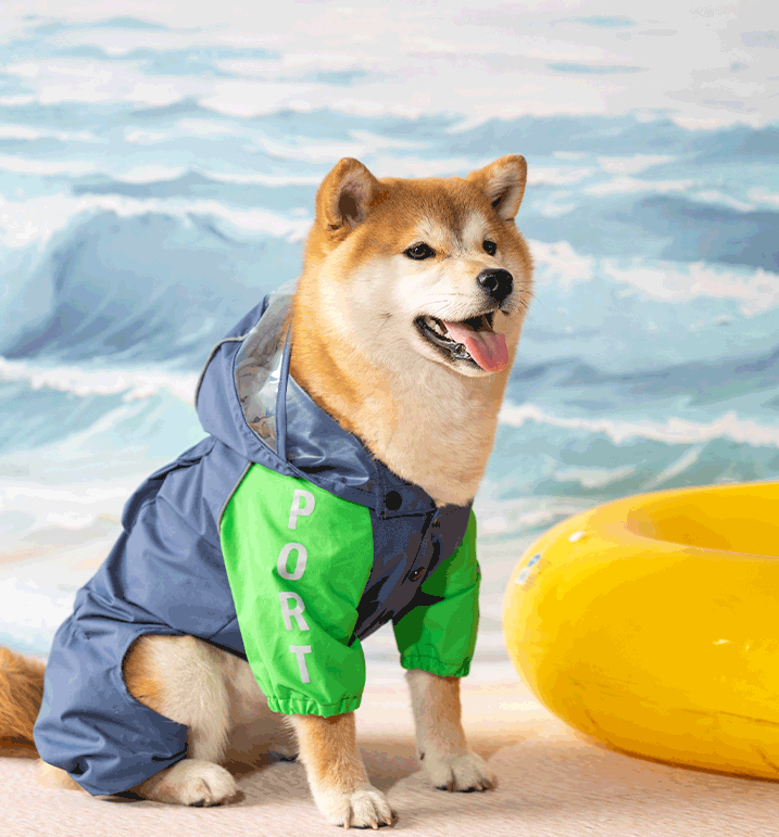 Shiba raincoat outlet