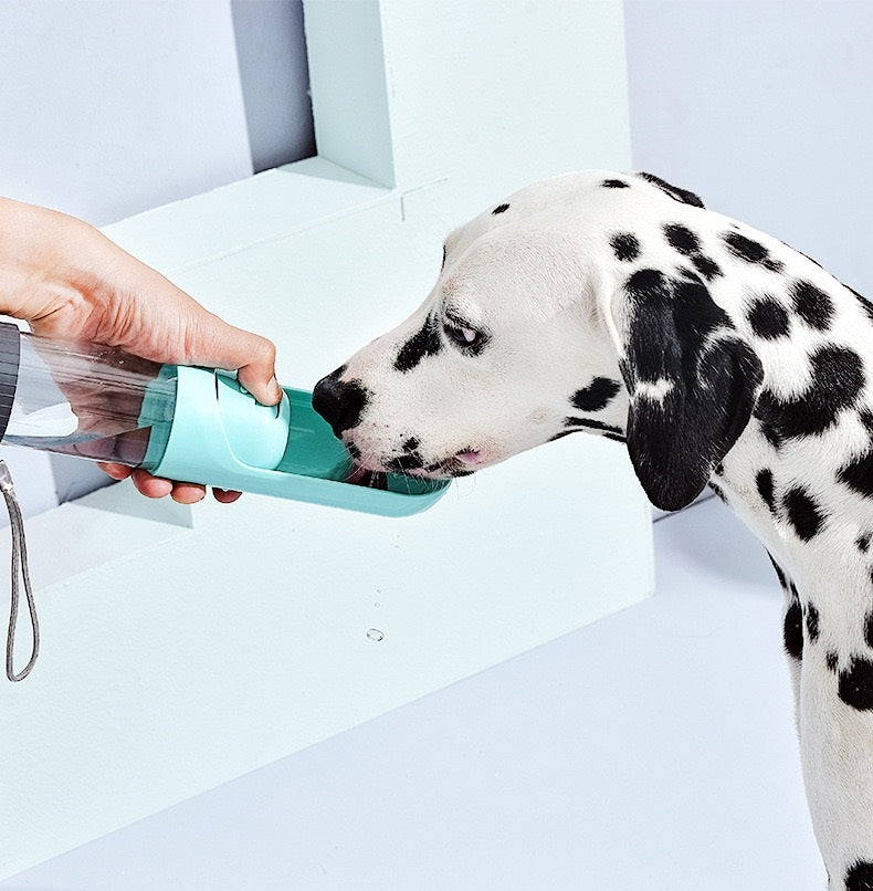 Portable and Collapsable Dog Water Bottle (4 colours)