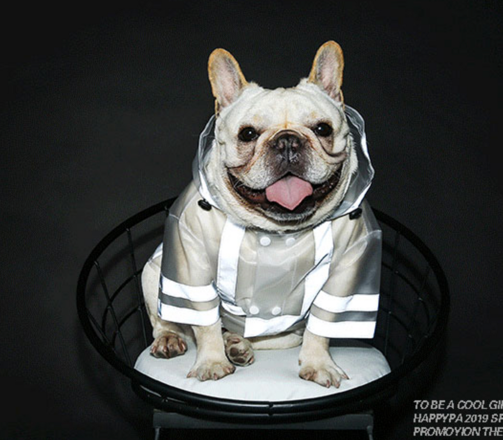Transparent Dog Raincoat - Clear with reflective stripes