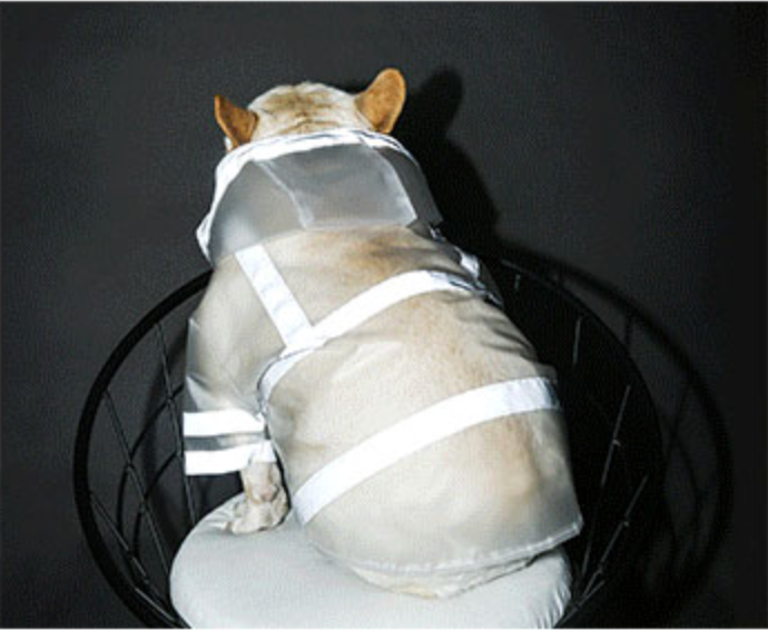 Transparent Dog Raincoat - Clear with reflective stripes