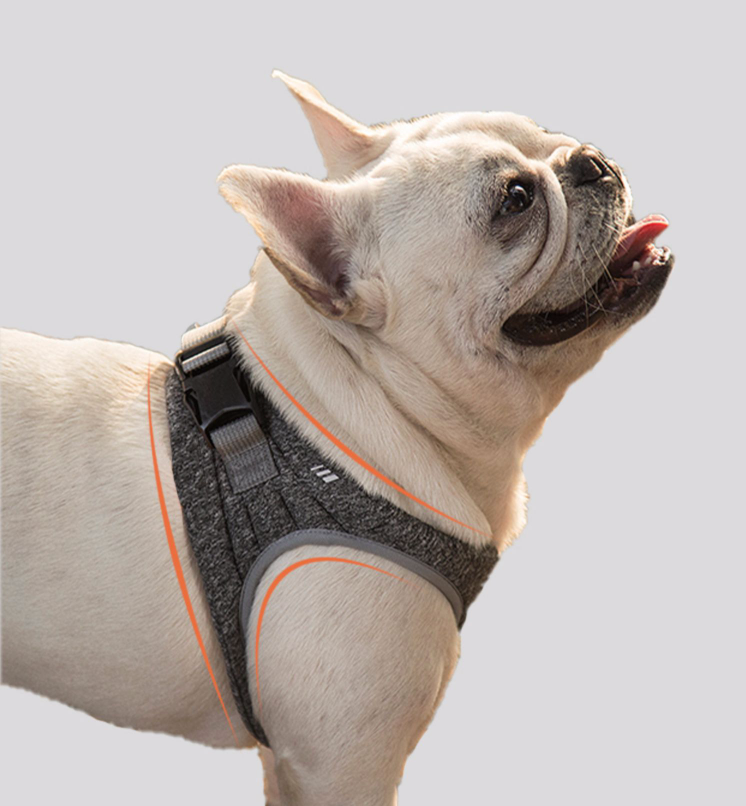 Expaw Dog Padded Harness and Lead - Grey