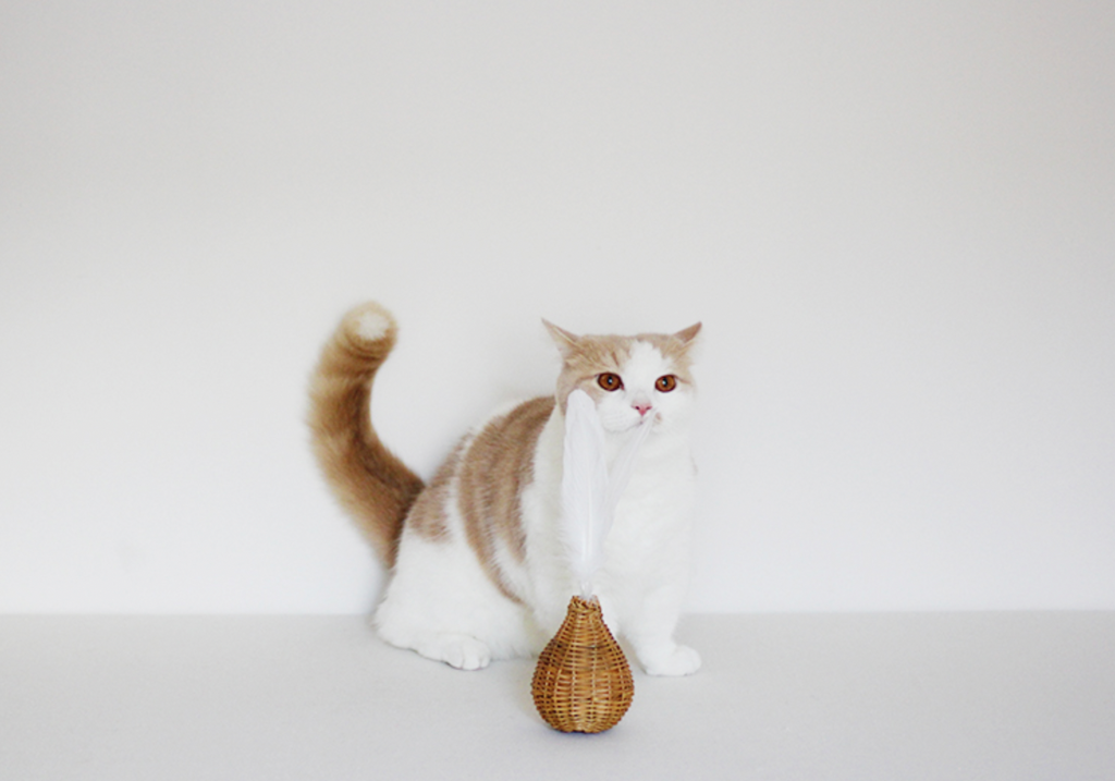 Feather Tip Rattan Cat Toy with bell inside (Made in Japan)