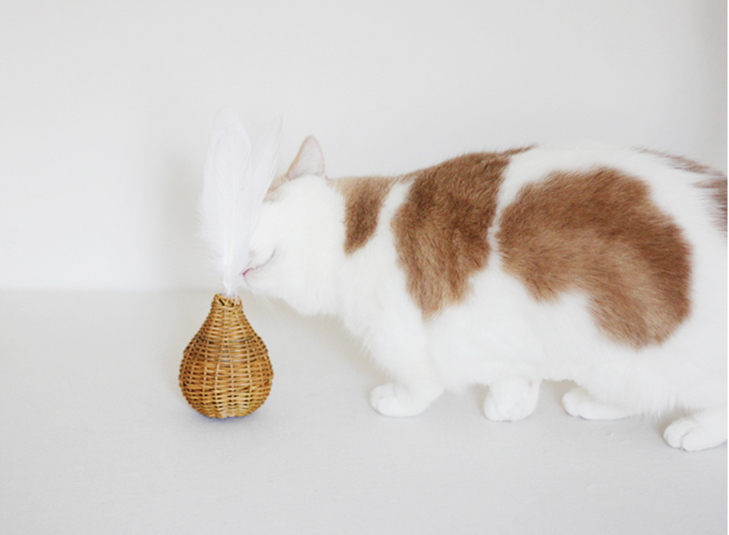 Feather Tip Rattan Cat Toy with bell inside (Made in Japan)