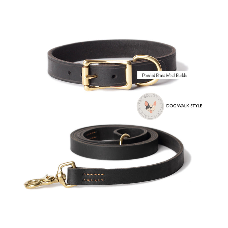 Simple Style Italian Leather Collar and Lead Set