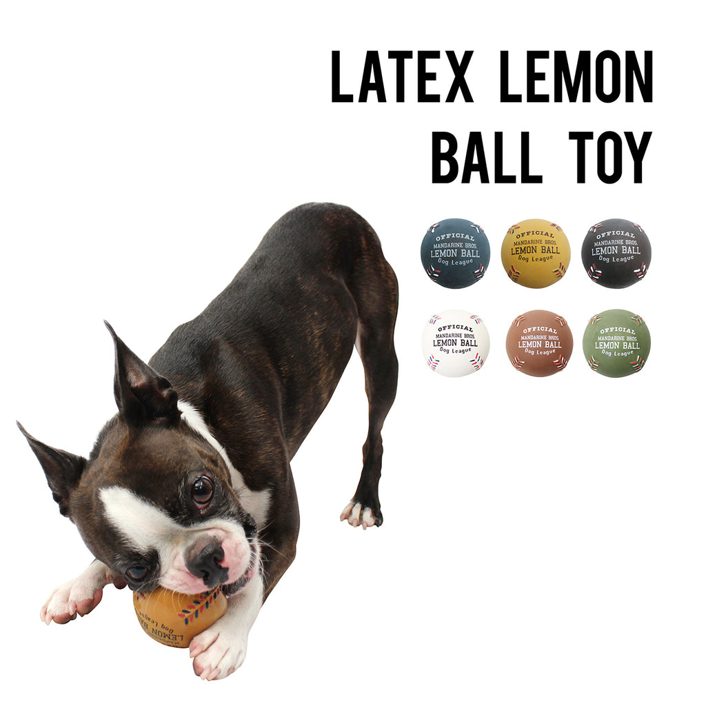 Mandarine Brother - Rugby Ball/American Football Squeaky Dog Toy