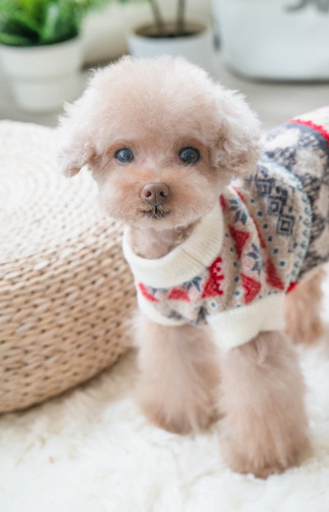 Water Repellent Faux Mink Cashmere Fleece Dog Jumper - White with red pattern