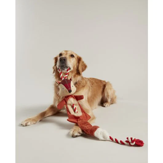 Joules How Crafty fox with rope