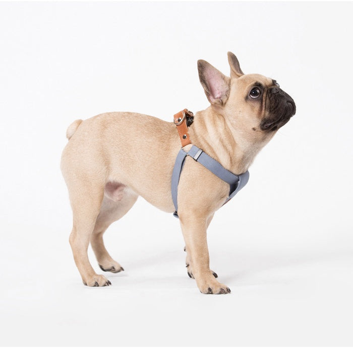 Sniff 100% Cotton Harness with leather and brass buckle - Light Denim Blue & Beige